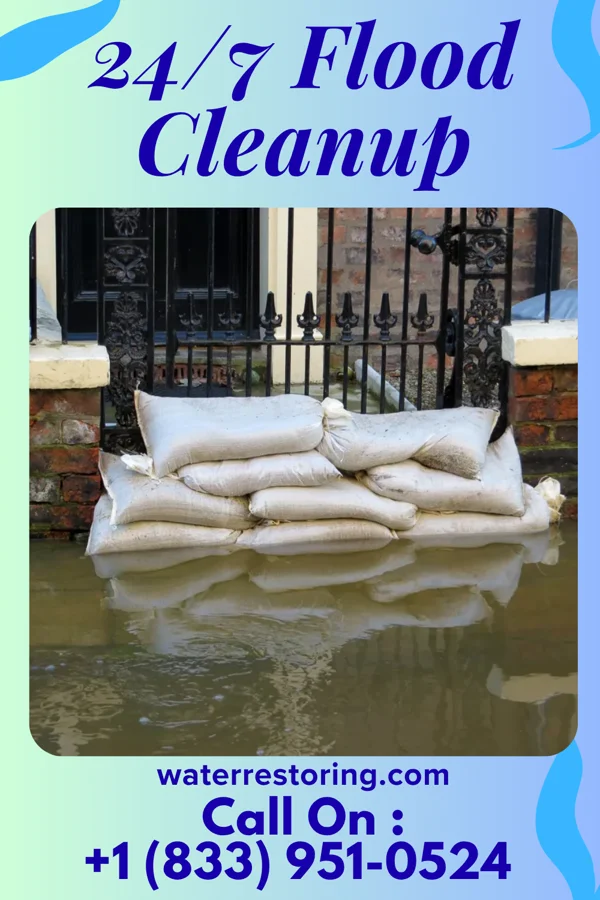 24/7 Flood Cleanup in Aldrich, MN
