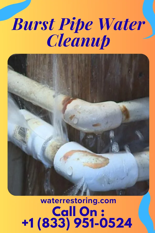 Burst Pipe Water Cleanup in Aldrich, MN