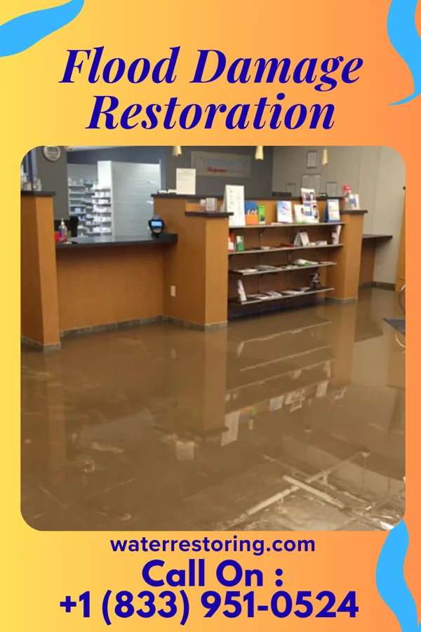 Flood Damage Restoration in Aldrich, MN