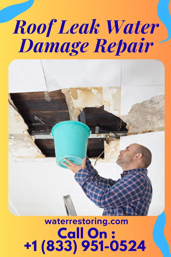 Roof Leak Water Damage Repair in Aldrich, MN