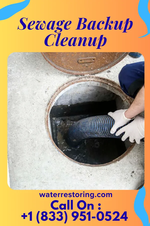 Sewage Backup Cleanup in Aldrich, MN