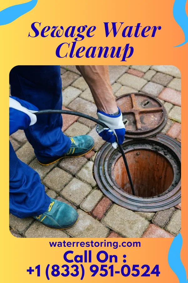 Sewage Water Cleanup in Aldrich, MN